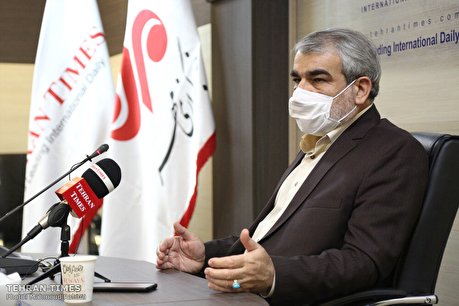 Tehran Times interview with Constitutional Council spokesman