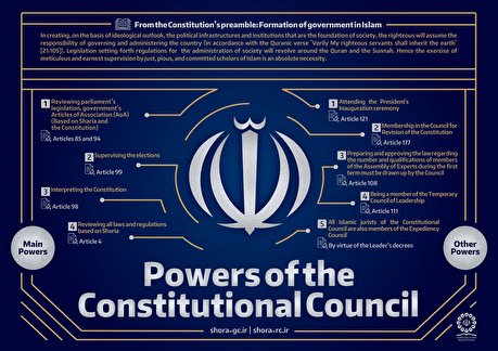 Infographic: Powers of Constitutional Council