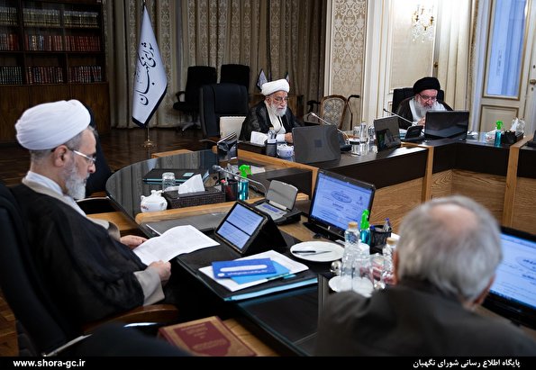 Board members of Constitutional Council attend weekly meeting