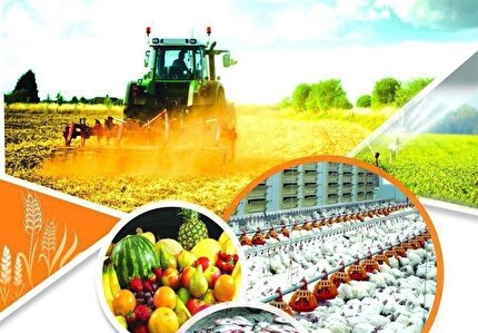 نظر شورای نگهبان درباره طرح حمایت از تولید کشاورزی و افزایش تاب‌آوری نظام غذا برای شرایط جنگی و بحرانی