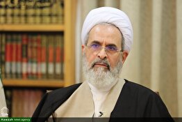 قدردانی آیت‌الله اعرافی از مجاهدت‌های فرشتگان سپیدپوش
